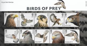 2019-pack-number-569-birds-of-prey-presentation-pack-6466-1-p.jpg